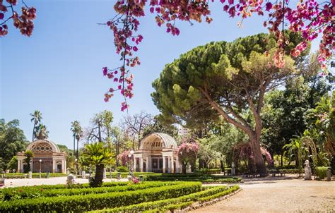  Le Jardin Botanique de Bucaramanga: Un Oasis verdoyant et un refuge pour la biodiversité colombienne !