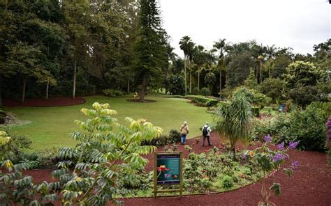 Le Jardin Botanique de Xalapa: Un Oasis Vert et Vibrant en plein Coeur du Veracruz!