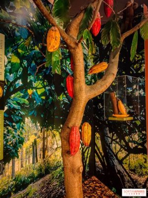  Le Musée du Cacao: Un voyage gourmand dans l'histoire de la chocolaterie colombienne!