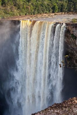 Les Chutes d'eau de Dajing : Des cascades majestueuses jaillissant du sommet des montagnes!