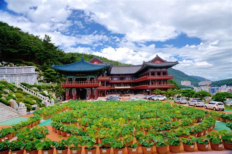 Le Musée National de Busan : Découvrez l'histoire fascinante et les merveilles archéologiques de la Corée!